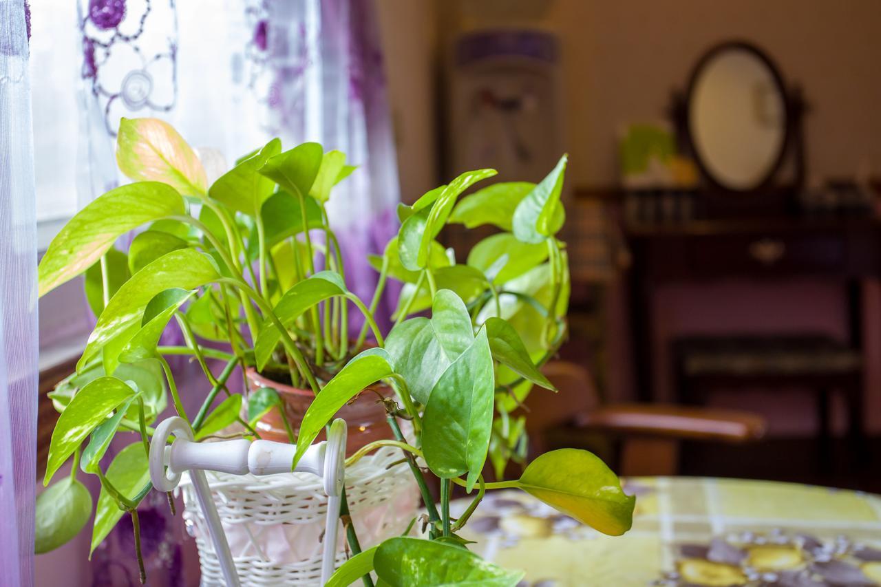 Chenyuan B&B Hualien Eksteriør billede